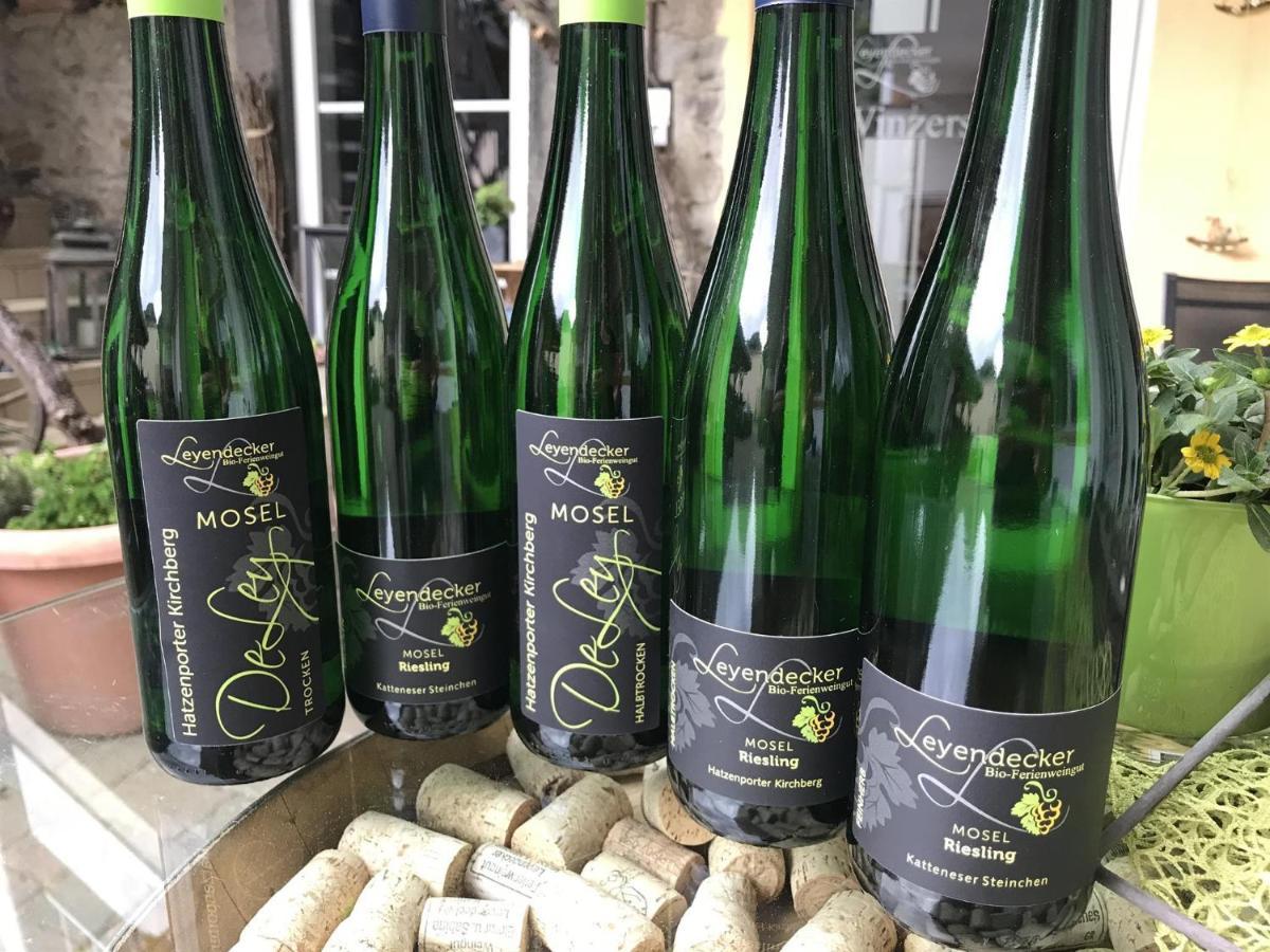 Bio-Ferienweingut Leyendecker Daire Kattenes Dış mekan fotoğraf