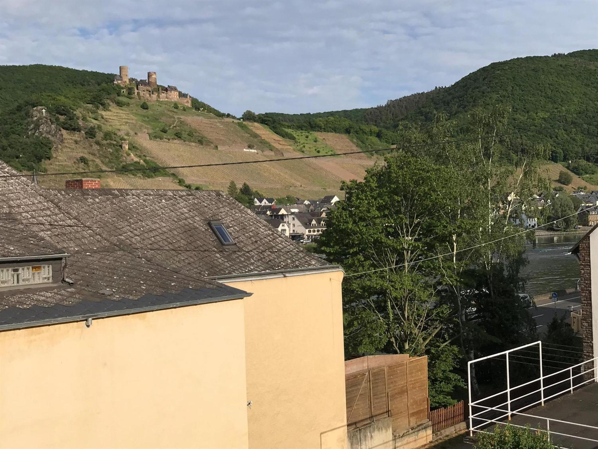 Bio-Ferienweingut Leyendecker Daire Kattenes Dış mekan fotoğraf